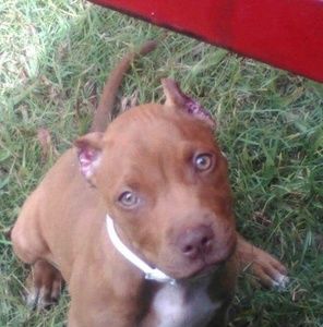 Meet your Posher, Zayden